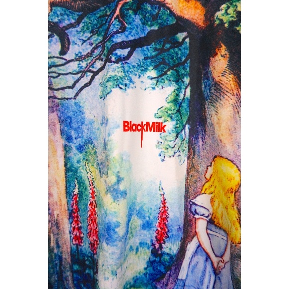 Black Milk Limited Edition One-Piece "Cheshire Cat" Swimsuit - Picture 4 of 4